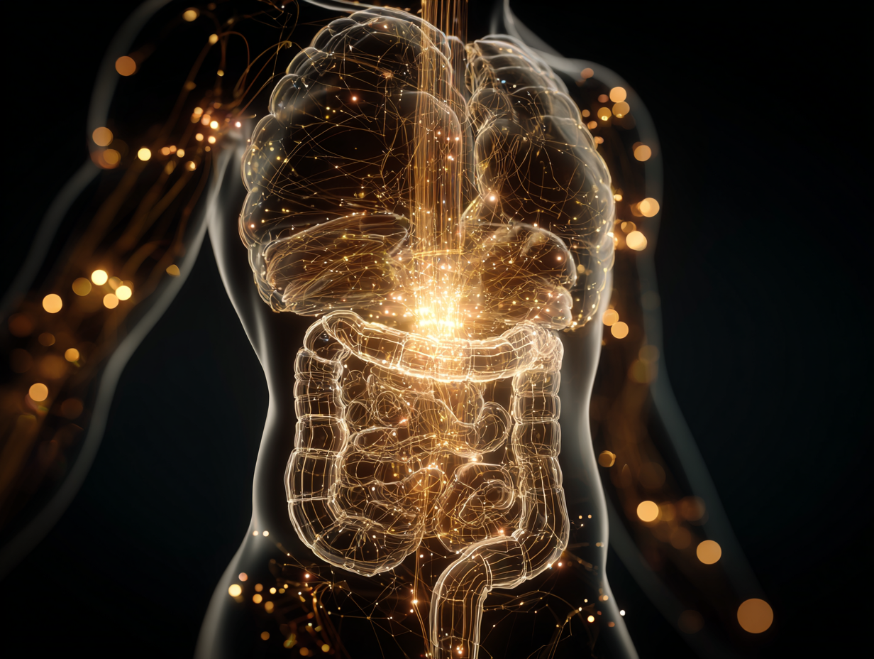 Gut health and weight
